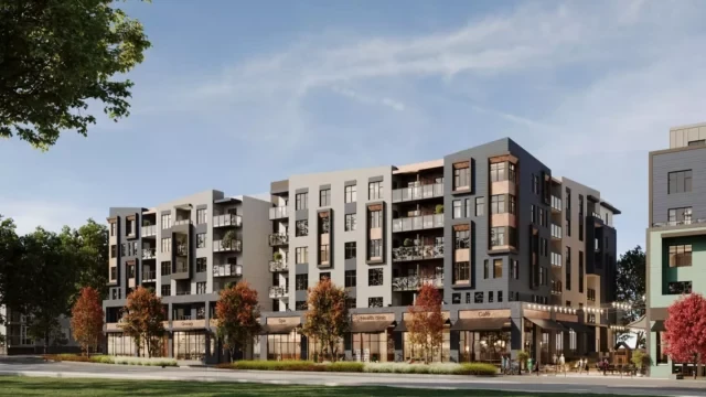Pacifica project preview